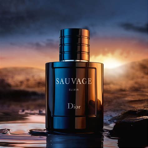 dior elixir sauvage 100 ml|sauvage Dior elixir 100ml price.